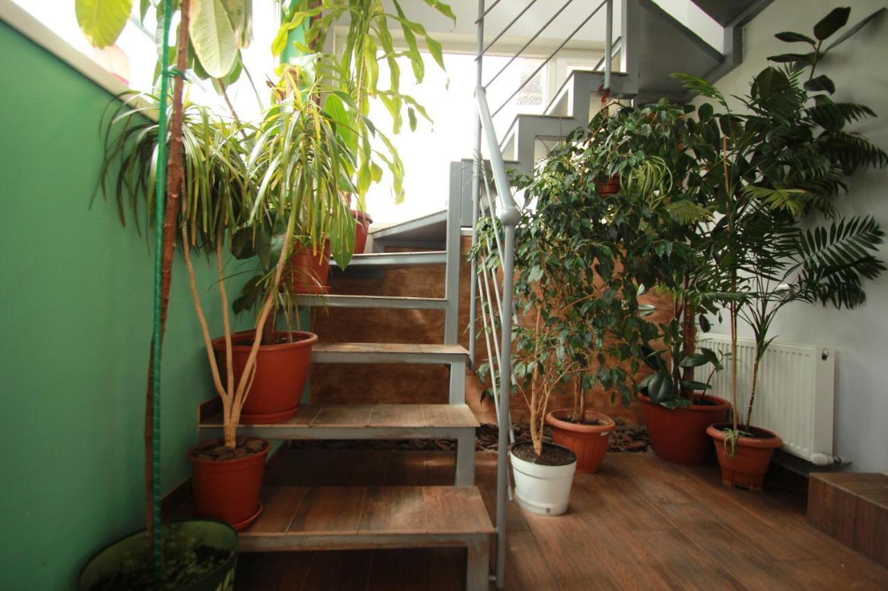 Garden Eco Design Hotel オデッサ エクステリア 写真